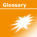 Glossary